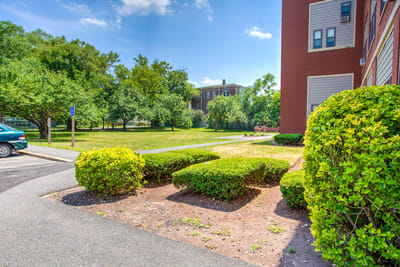 Well-maintained outdoor space with greenery and pathways