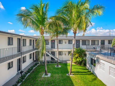 Outdoor space with palm trees and courtyard area