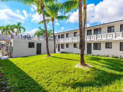 Outdoor space with palm trees and grass area