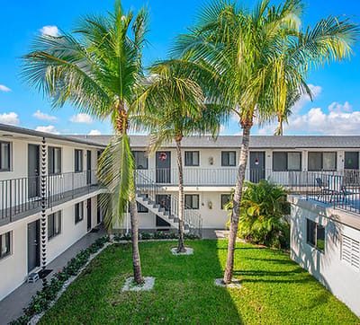 Outdoor area with palm trees and landscaping
