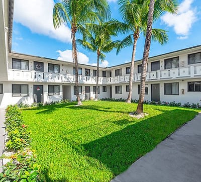 Beautiful courtyard surrounded by palm trees