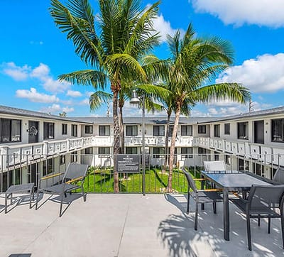 Outdoor patio area with palm trees and seating