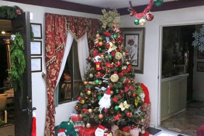 Christmas tree decorated with ornaments and gifts