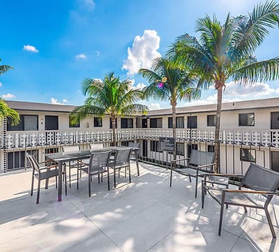 Outdoor seating area with palm trees