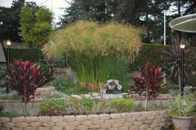 Beautiful garden area with greenery and plants