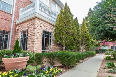 Well-maintained outdoor garden with walkways