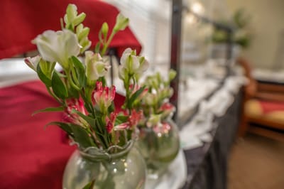 Colorful floral arrangement on display
