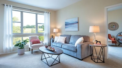 Cozy interior living space with natural light