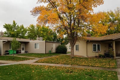 Outdoor view of Walnut Park Apartments with trees and pathways
