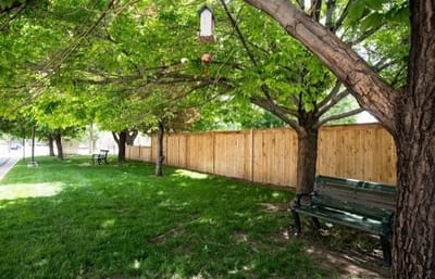 Shaded green space with benches and trees
