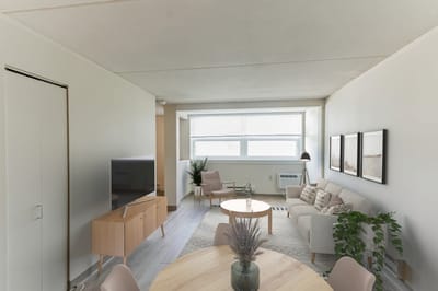 Bright living space with modern furnishings