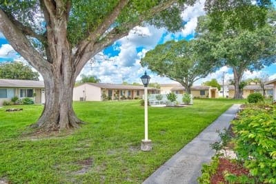 Lush outdoor space with trees and pathways.