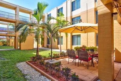 Outdoor seating area with palm trees