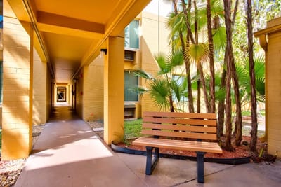 Bright hallway with a bench and palm plants