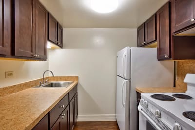 Modern kitchen with dark cabinets and appliances