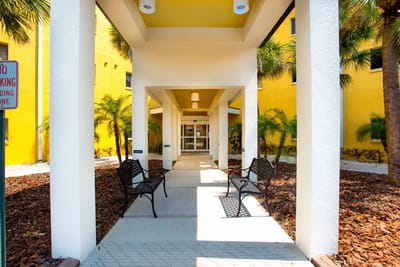 Entrance area with benches and palm trees