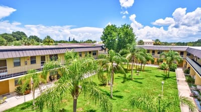 Outdoor courtyard with palm trees and buildings