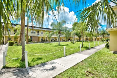 Outdoor space with pathways and palm trees