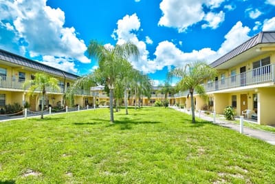 Outdoor view of a landscaped area with palm trees