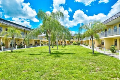 Lush courtyard with palm trees and building exterior.