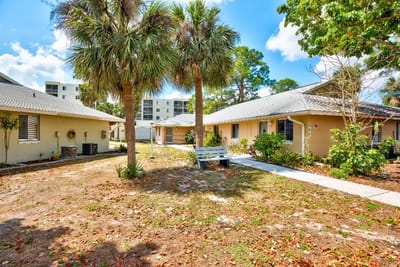Outdoor area with palm trees and pathway.