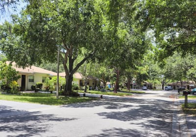 Tree-lined street with residential buildings