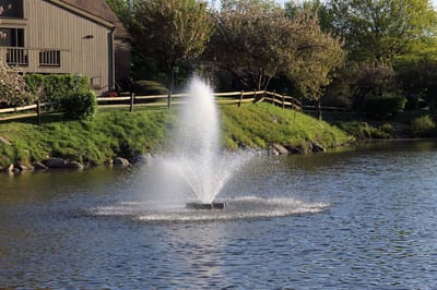 Fountain in a serene outdoor setting