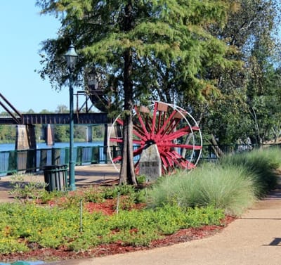 Outdoor area with greenery and a decorative wheel