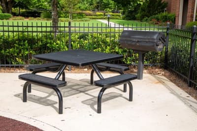 Outdoor picnic table and grill area