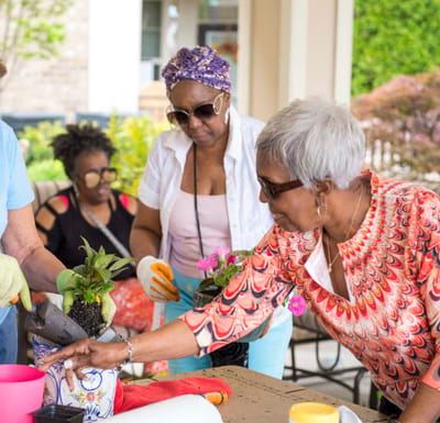 Residents engaged in gardening activities outdoors.