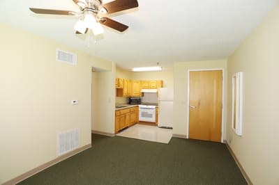 A tidy kitchenette and living space in an apartment