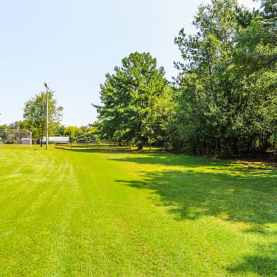 Lush green outdoor space with trees