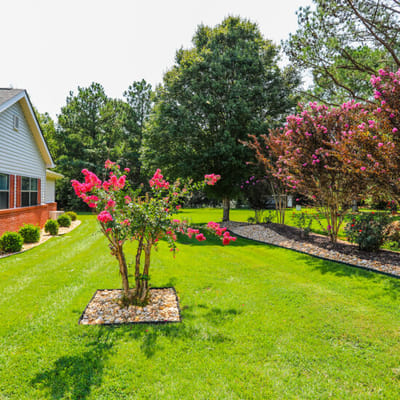 Well-maintained garden with flowers and greenery.