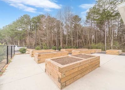Raised garden beds in an outdoor space