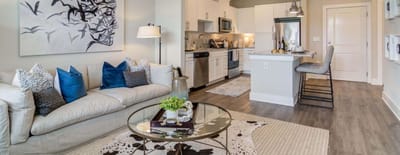 Stylish common area with a sofa and kitchen