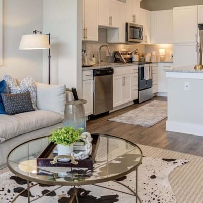 Stylish interior of a modern kitchen and living area