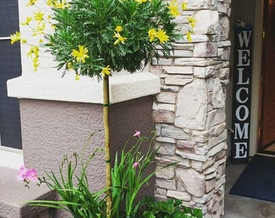 Floral arrangement outside a welcoming entrance