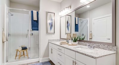 Modern bathroom with a shower and vanity