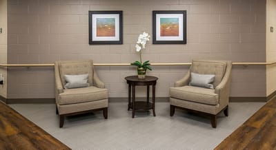 Corner seating area with two chairs and a plant.