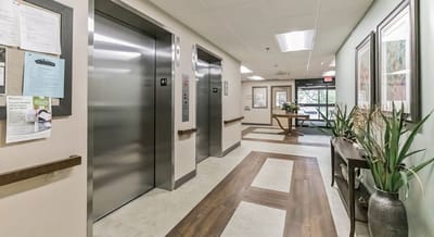 Interior hallway with elevators and plants