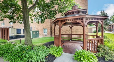 Gazebo surrounded by greenery in outdoor space