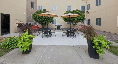 Outdoor seating area with umbrellas and plants