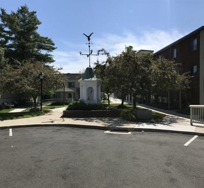 Outdoor area with a decorative weather vane and trees