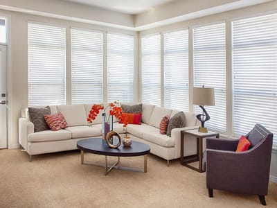 Cozy living room with natural light and modern decor