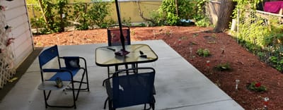 Outdoor seating area with chairs and garden