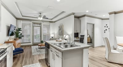 Modern interior of a resident unit featuring living area and kitchen