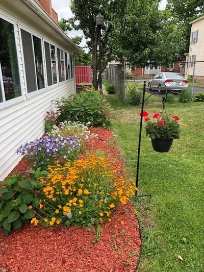 Beautiful garden area with colorful flowers