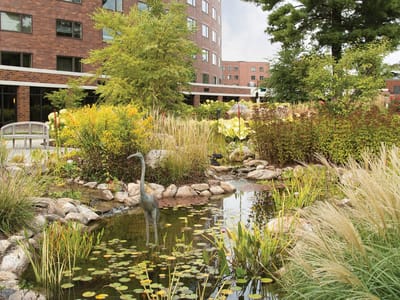 Beautiful landscaped garden with a pond and seating area