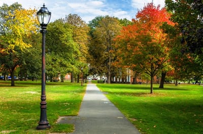 A scenic pathway through a colorful park