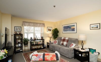 Cozy interior living room with a couch and decorative elements